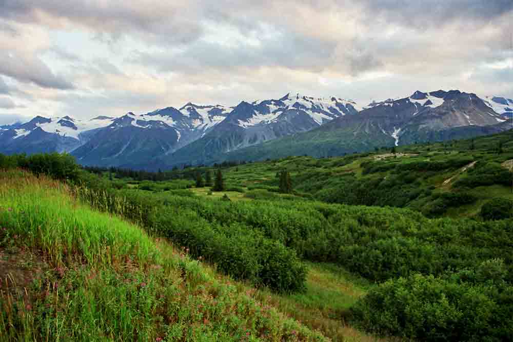 106 - Canada - Yukon, parque nacional de Kluane